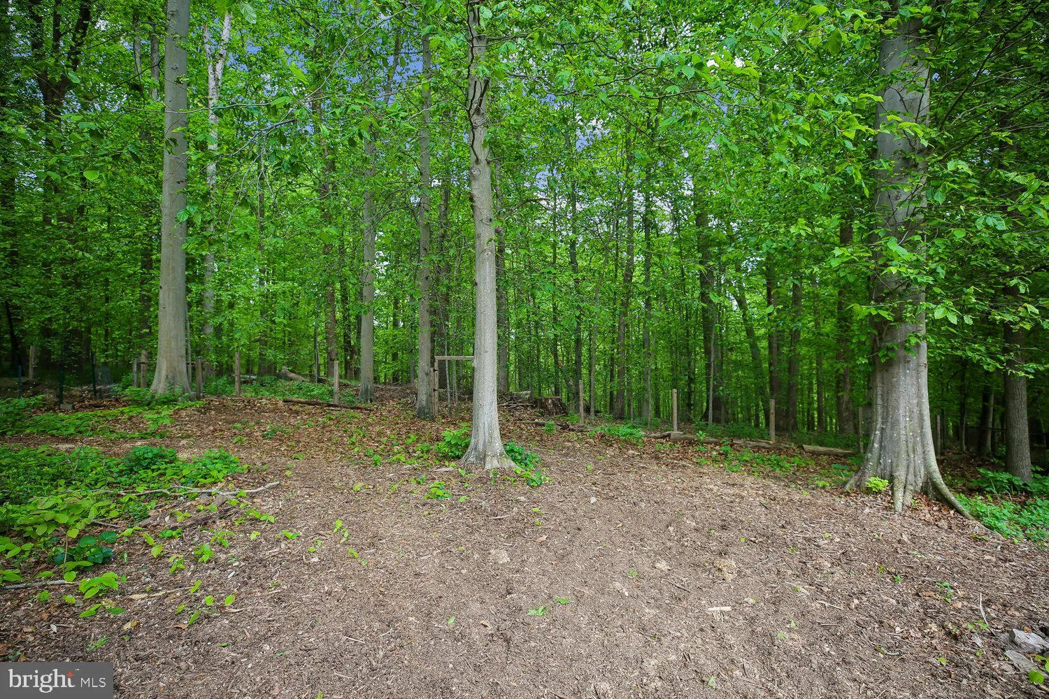 Additional image 208 of 13714 Drake Drive, Rockville, MD 20853