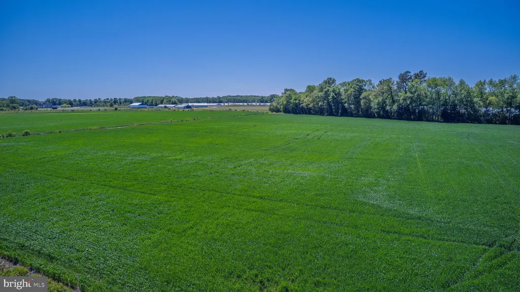 Additional image 13 of Lot 15 Tower Road, Camden Wyoming, DE 19934
