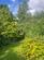 Additional image 66 of Oakham Lane, Daventry NN11