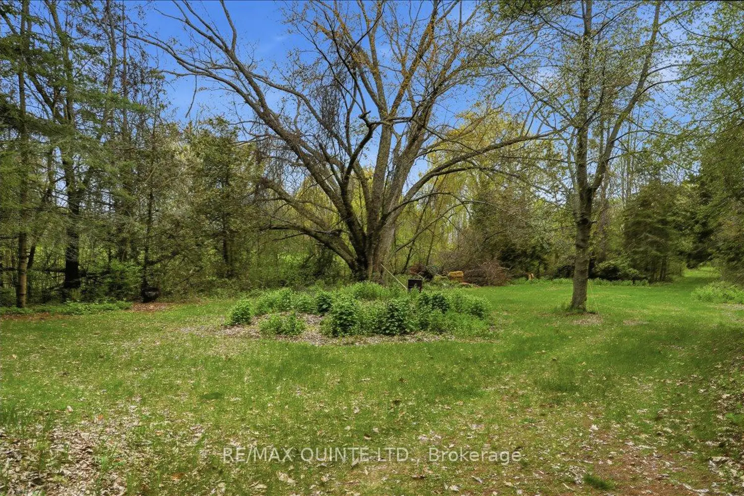Additional image 12 of 1242 County Road 12