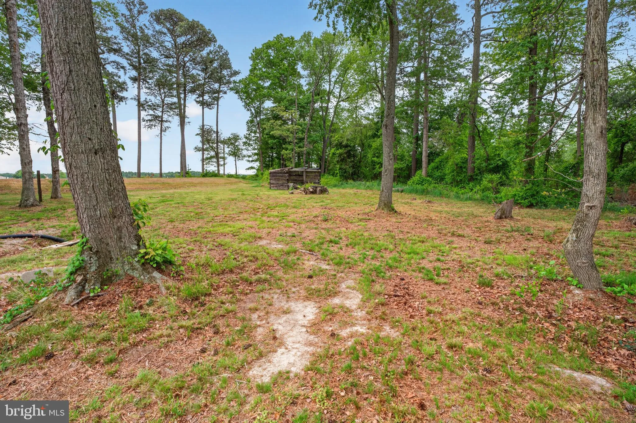 Additional image 79 of 14514 Tull Road, Greenwood, DE 19950