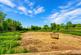 Additional image 11 of Bilbrook, Minehead, Somerset, TA24