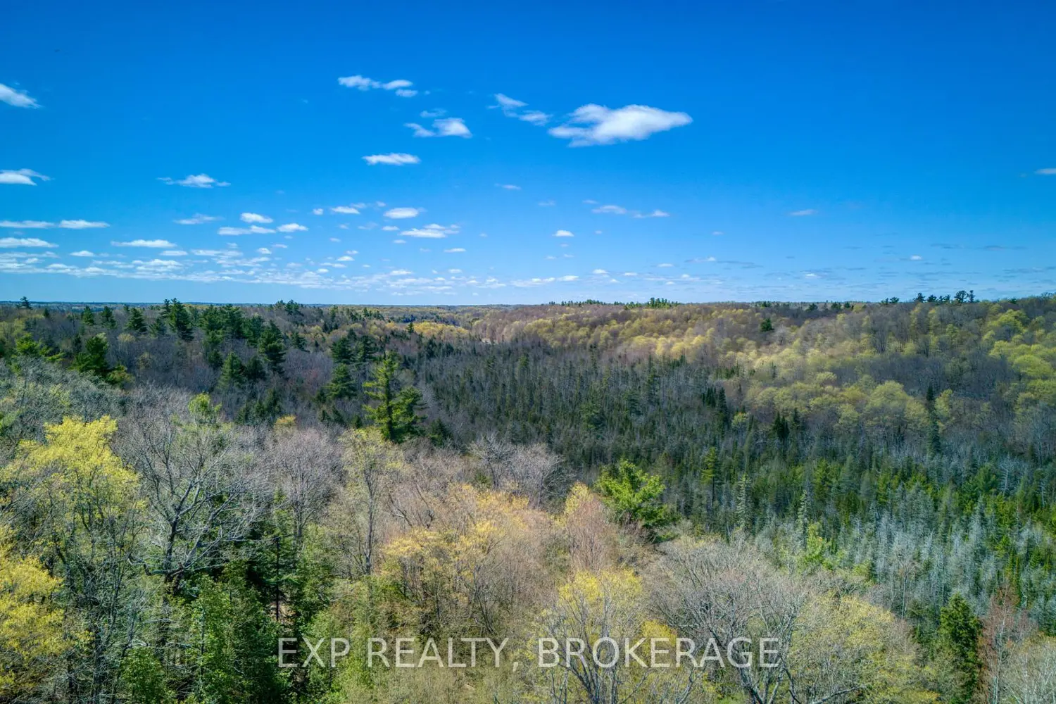 Additional image 12 of 371 Sherbrooke Drive