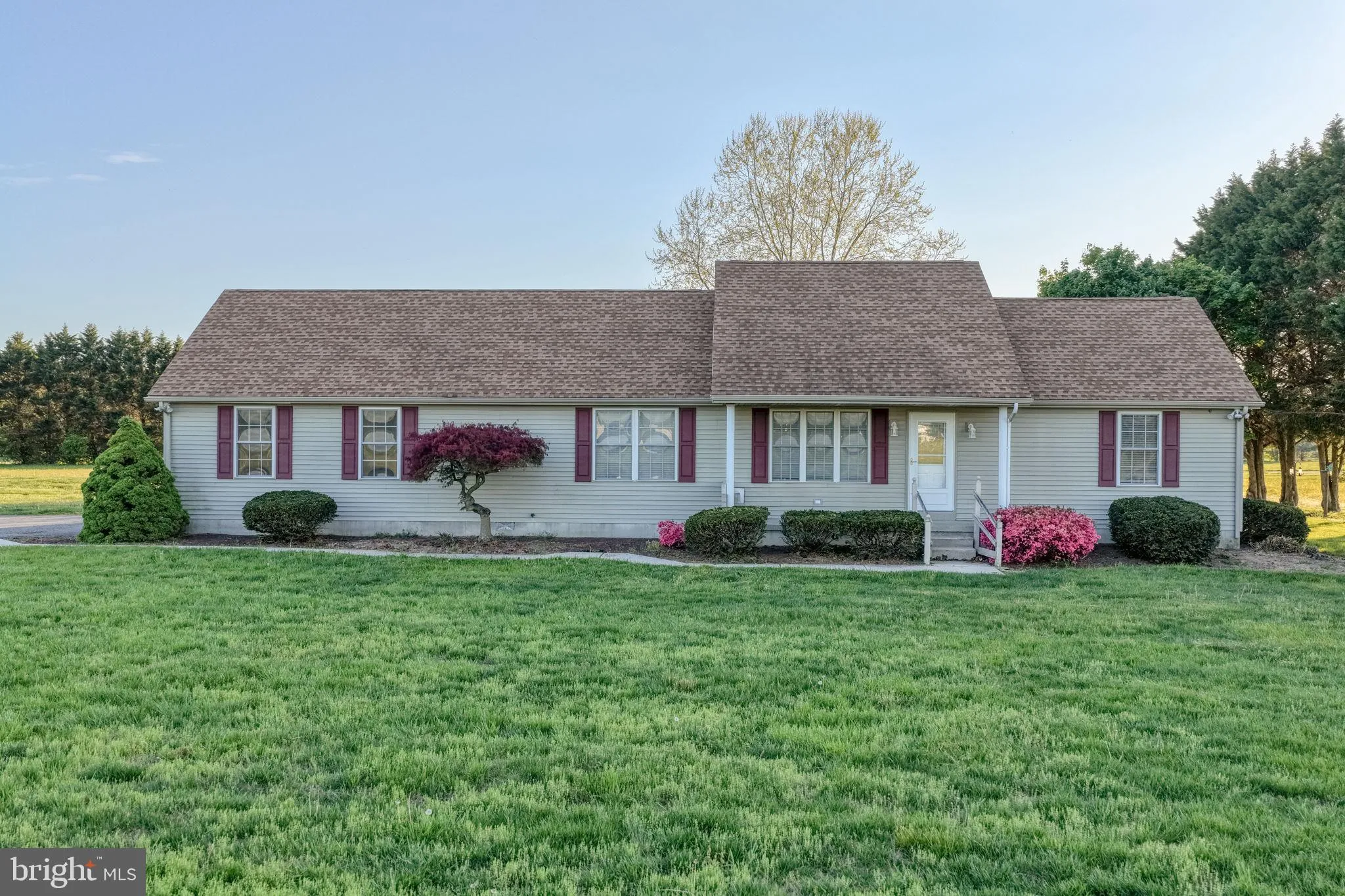 Additional image 44 of 1663 White Marsh Branch Road, Harrington, DE 19952