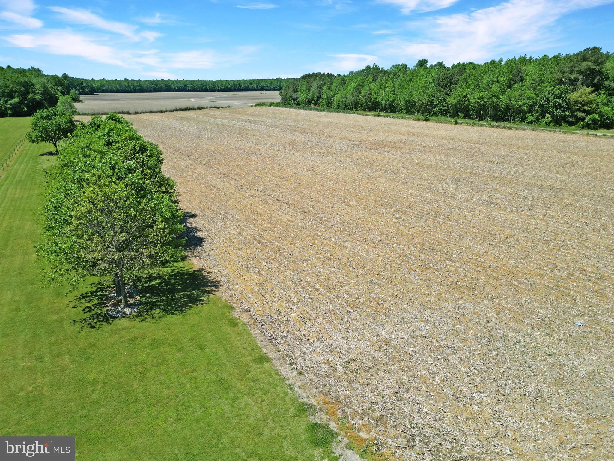Additional image 59 of 21176 Pepper Road, Georgetown, DE 19947