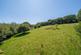 Additional image 28 of Henwood - 1.97 acres in all