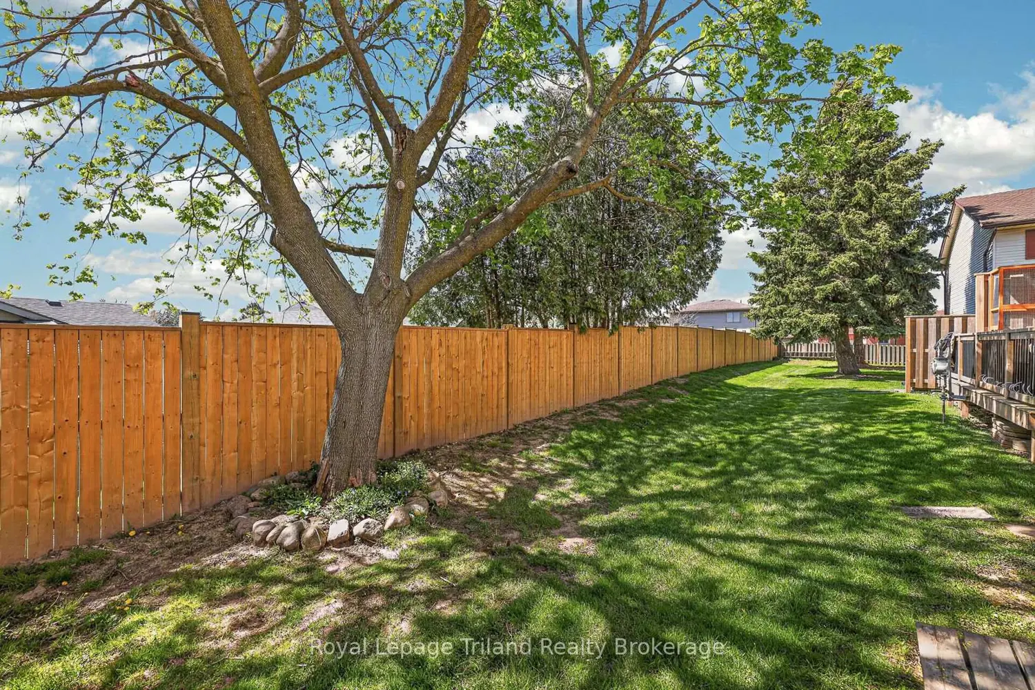 Additional image 17 of 1135 Nellis Street 11