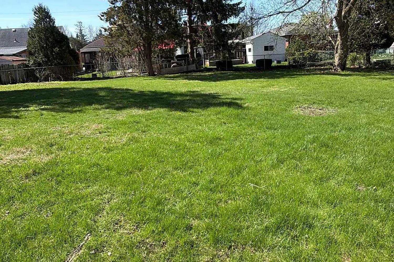 137 Locust Street photo 5