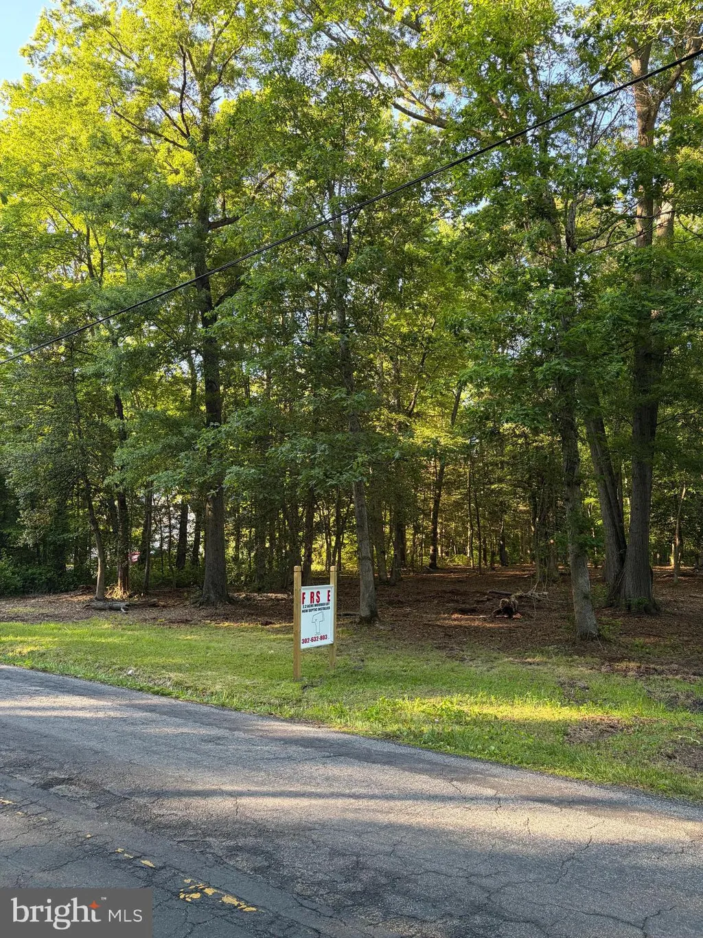 Additional image 2 of Mahan Corner Road, Marydel, DE 19964