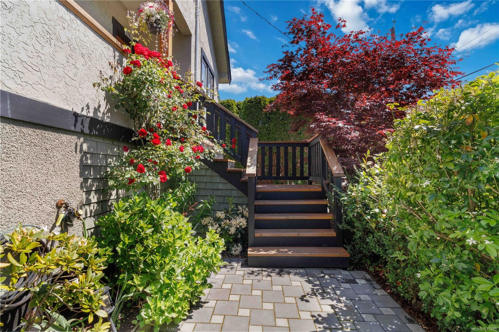 Additional image 3 of 1742 Albert Avenue, Victoria, BC, V8R 1Z1