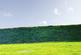 Additional image 21 of Saltmarshe, East Yorkshire DN14