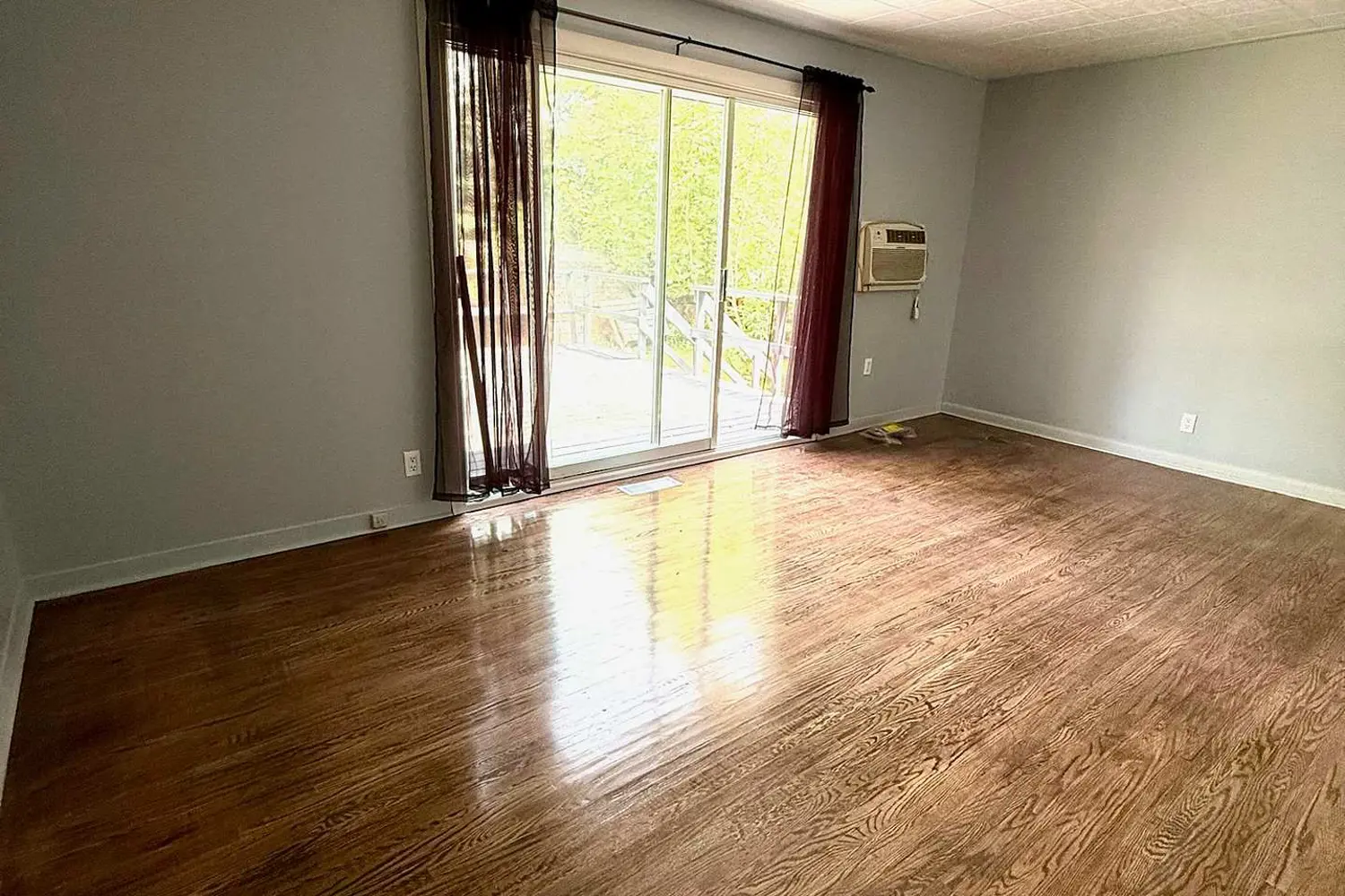 Additional image 9 of 45 Larch Street