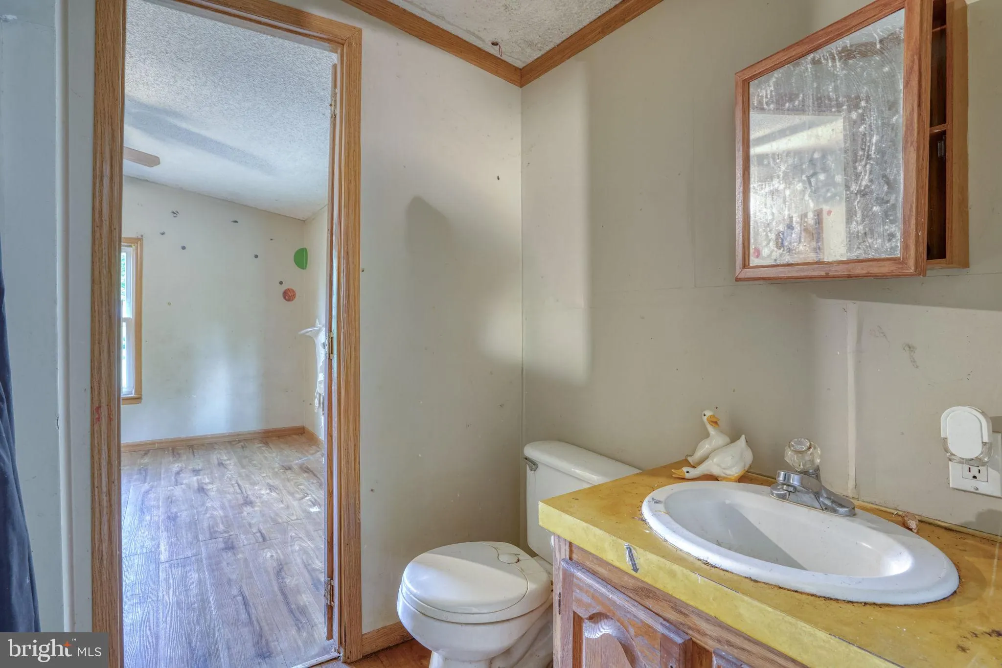 Additional image 63 of 28 E Pine St, Frederica, DE 19946