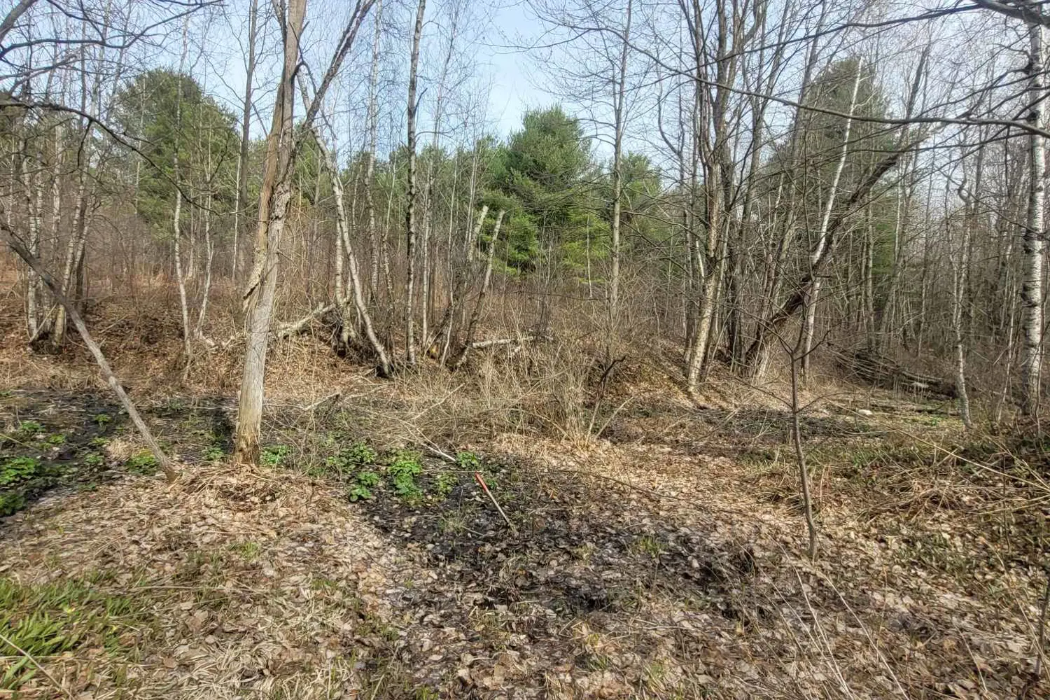 Additional image 14 of 53 Beaver Lane