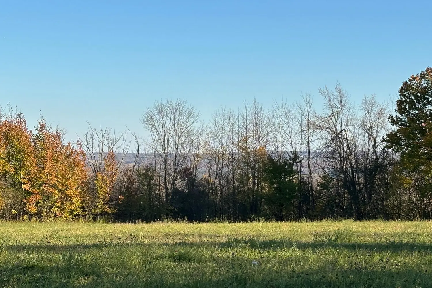 Additional image 18 of 58111 12Th Line