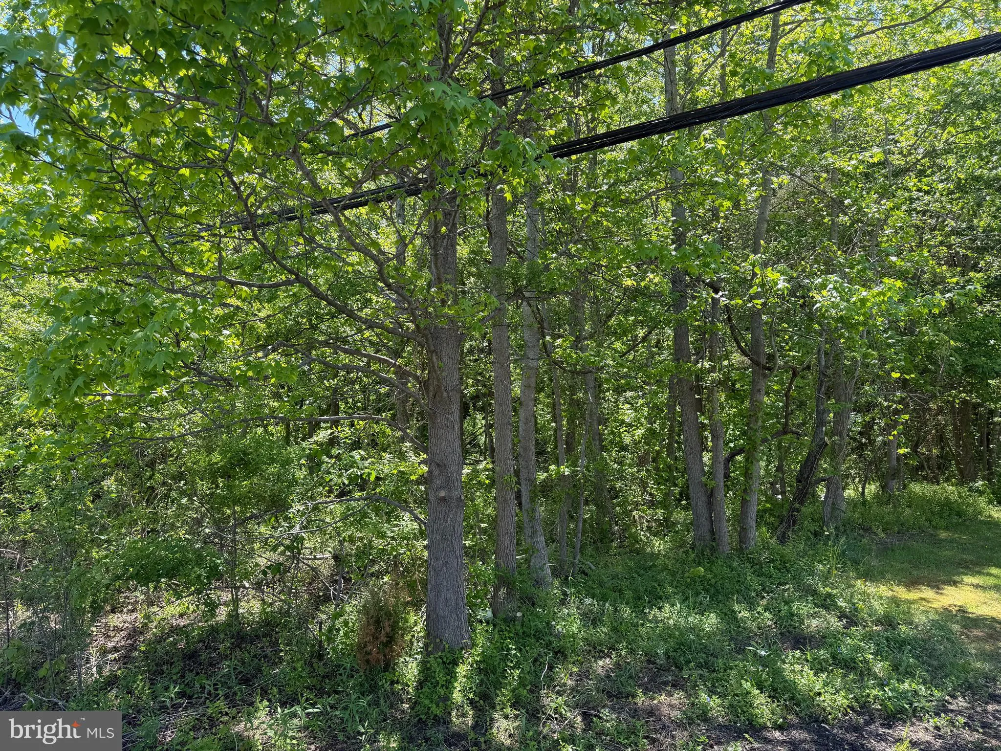 Additional image 11 of 6386 Summit Bridge Road, Townsend, DE 19734