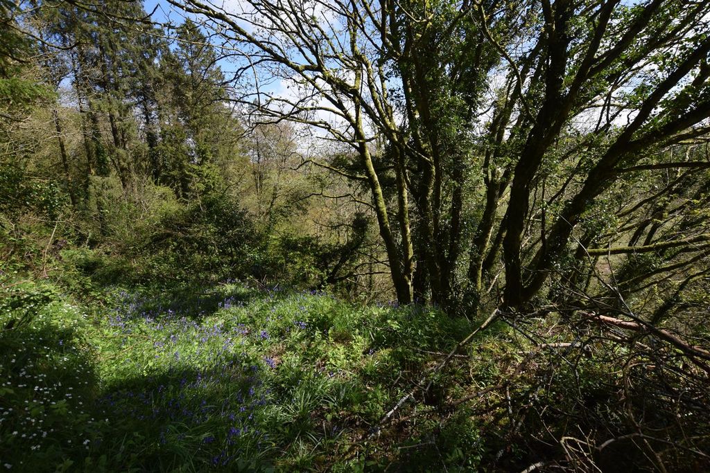 Additional image 27 of Land for saleGlanrhyd, Cardigan SA43