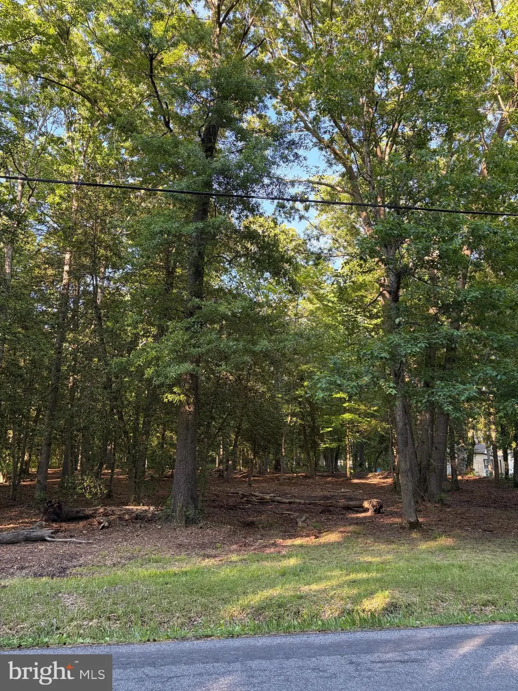 Additional image 5 of Mahan Corner Road, Marydel, DE 19964