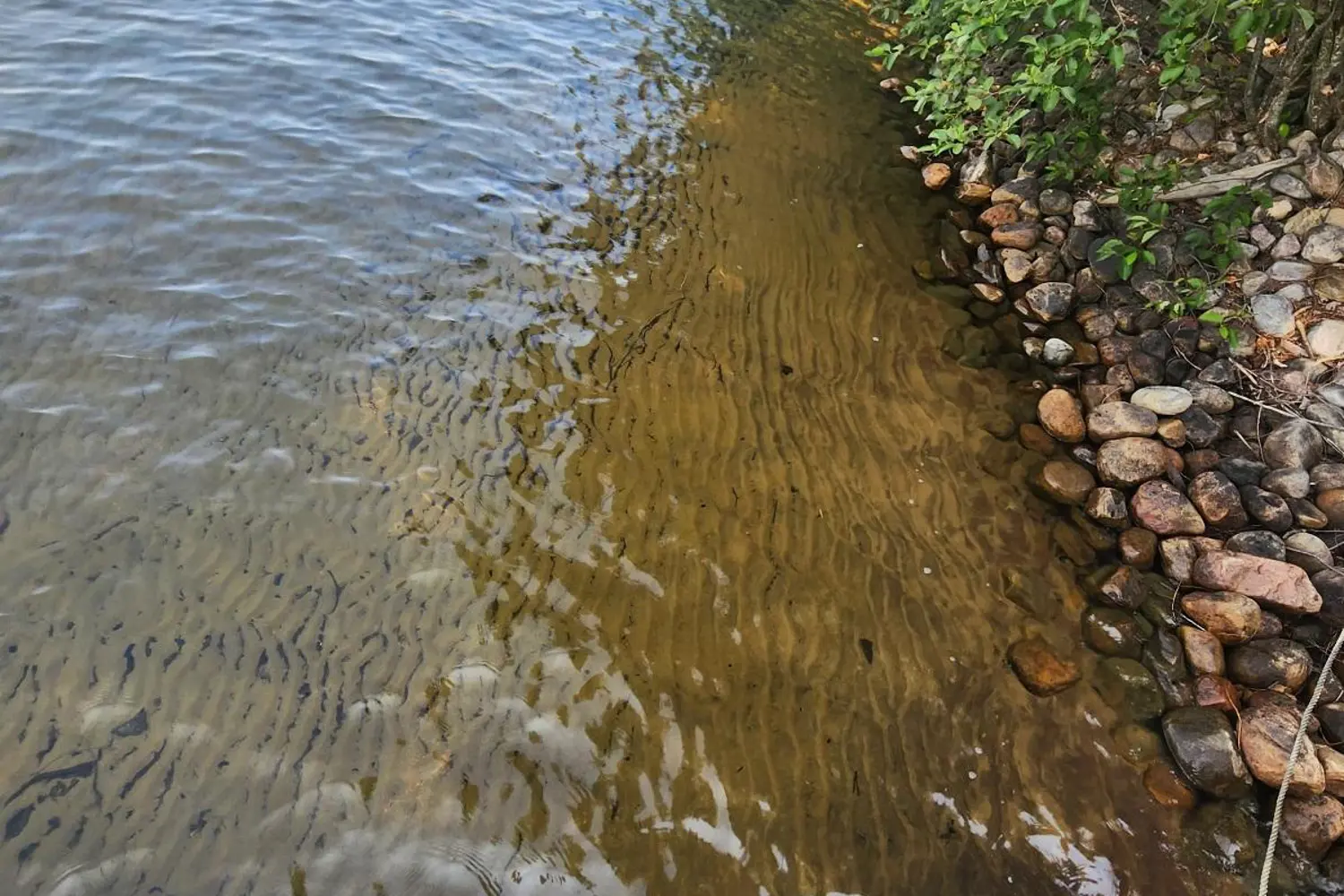 Additional image 11 of 1060 Seabreeze # 6 Road