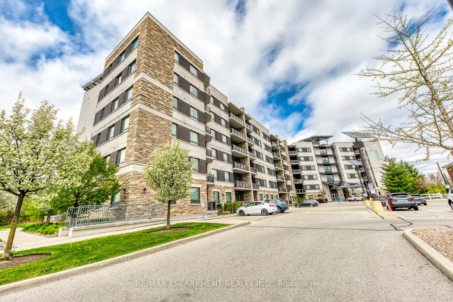 33 Whitmer Street 217