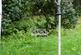 Additional image 34 of Harcombe, Lyme Regis, Devon, DT7