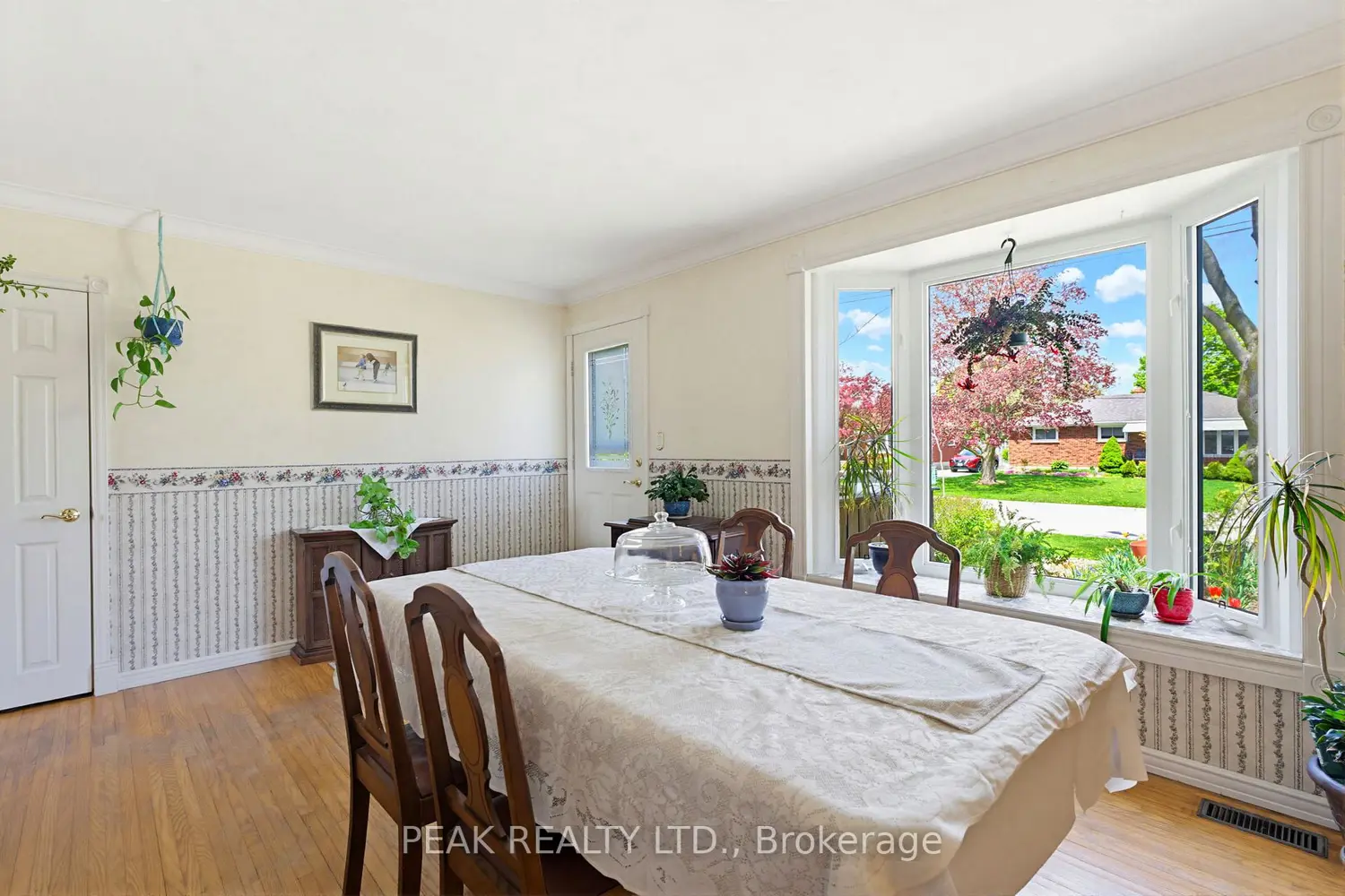 12 Mccammon Street photo 4