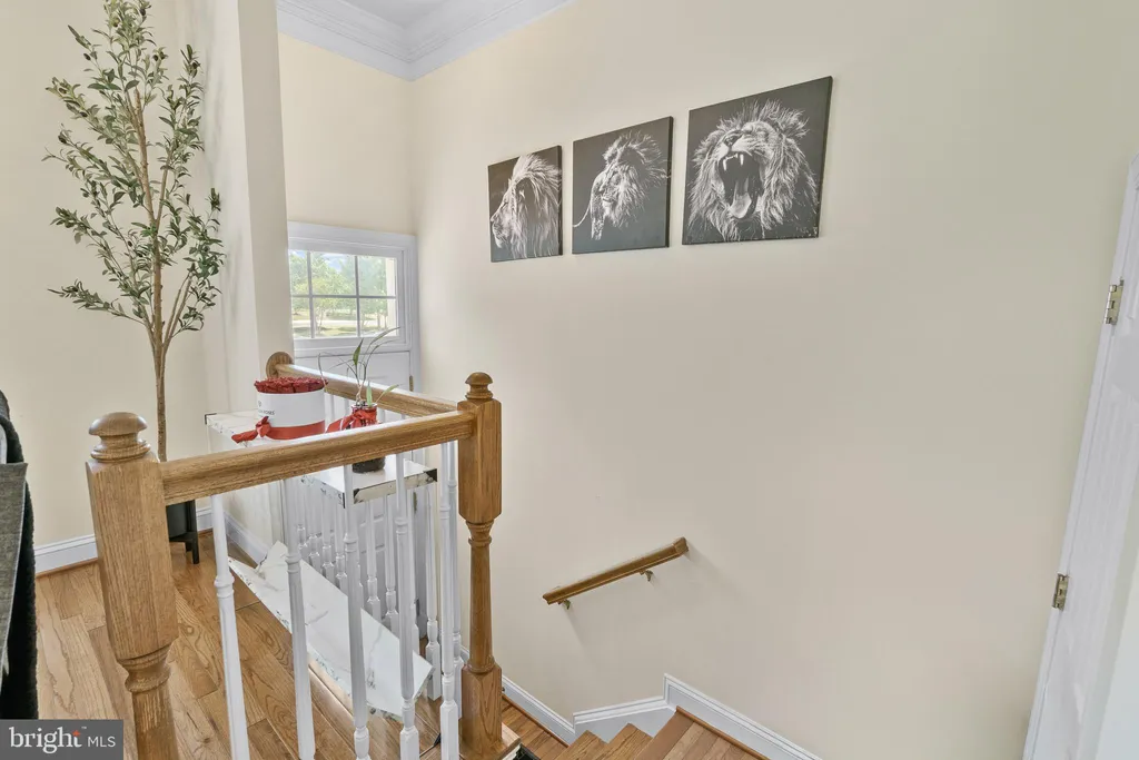 Additional image 14 of 3908 Bryant Park Circle, Burtonsville, MD 20866