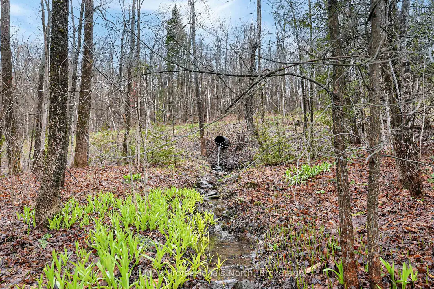 Additional image 12 of 1765 Essonville Line