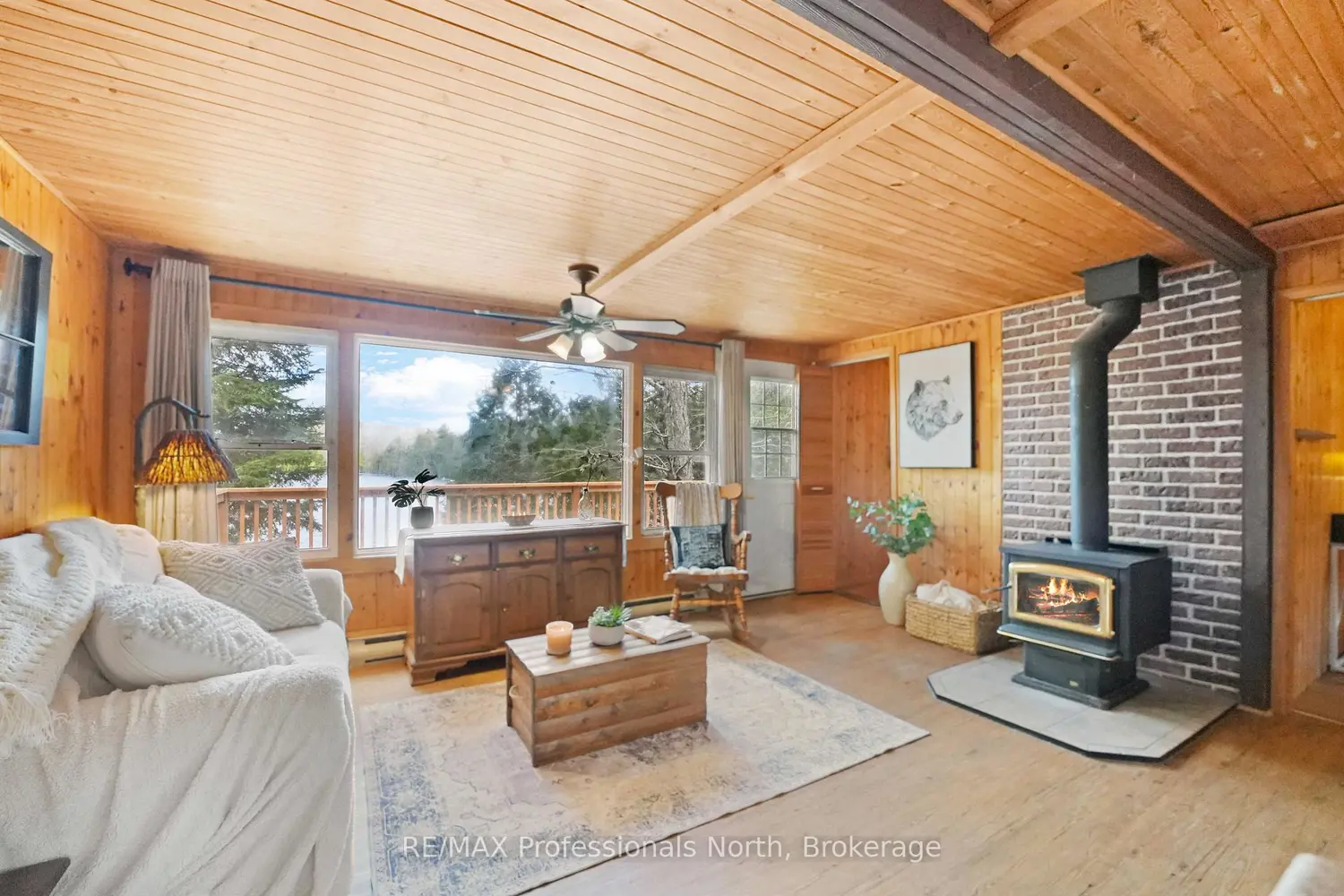 Additional image 8 of 1396 Betula Crescent
