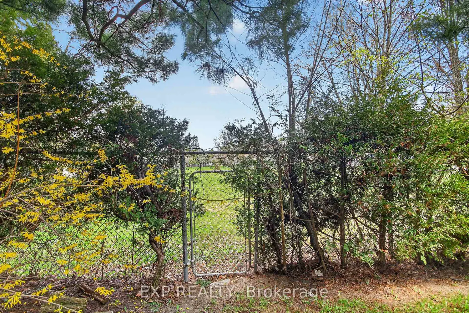 Additional image 13 of 935 Pleasant Park Road