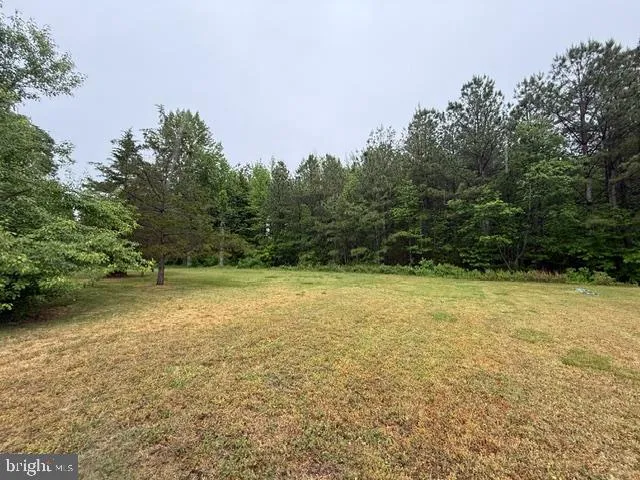Additional image 69 of 49 Nevada Avenue, Harrington, DE 19952