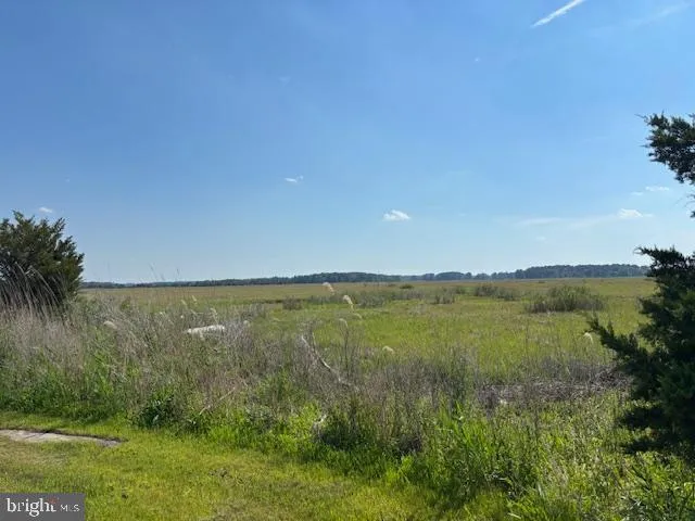 Additional image 9 of 462 Bay Avenue, Milford, DE 19963