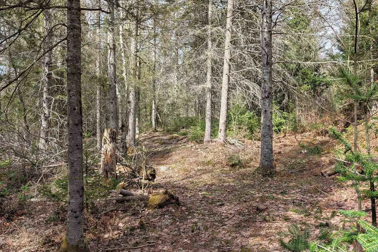 Additional image 11 of 3785A Eagle Lake Road