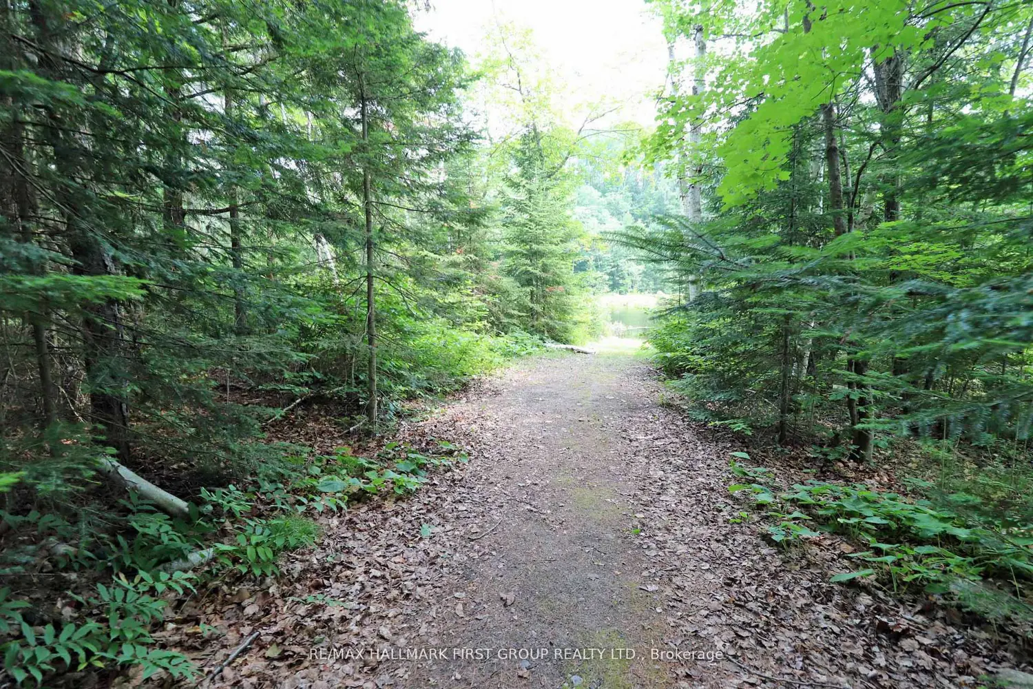 Additional image 7 of 18120 Highway 41