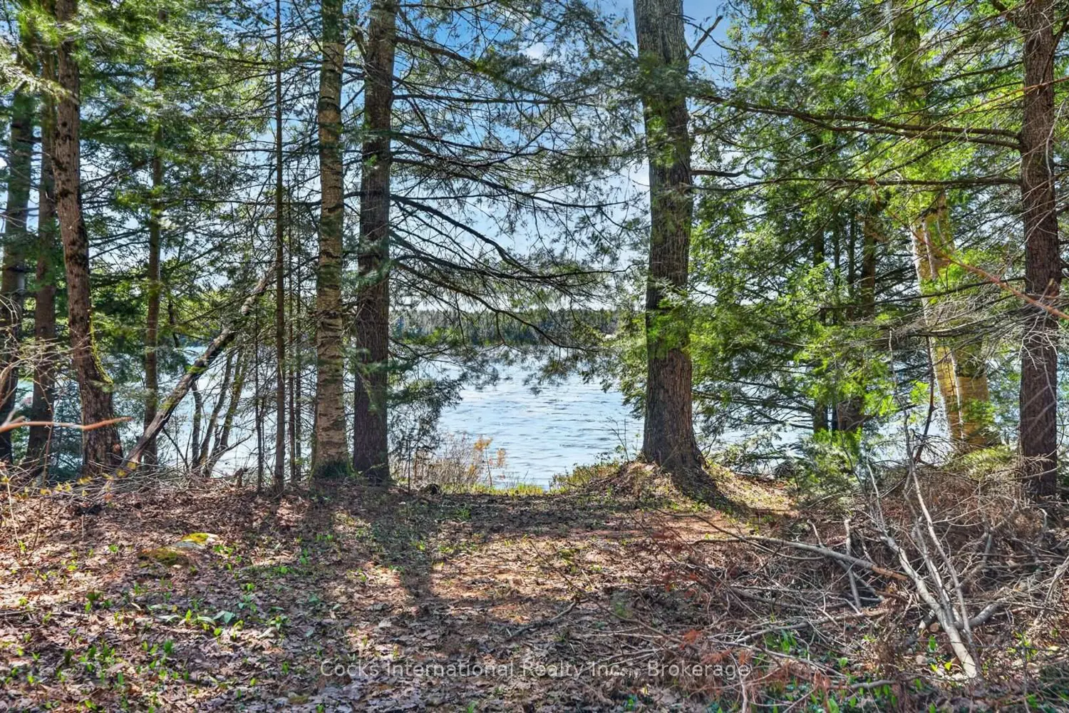 Additional image 4 of 1165 Spring Lake Road