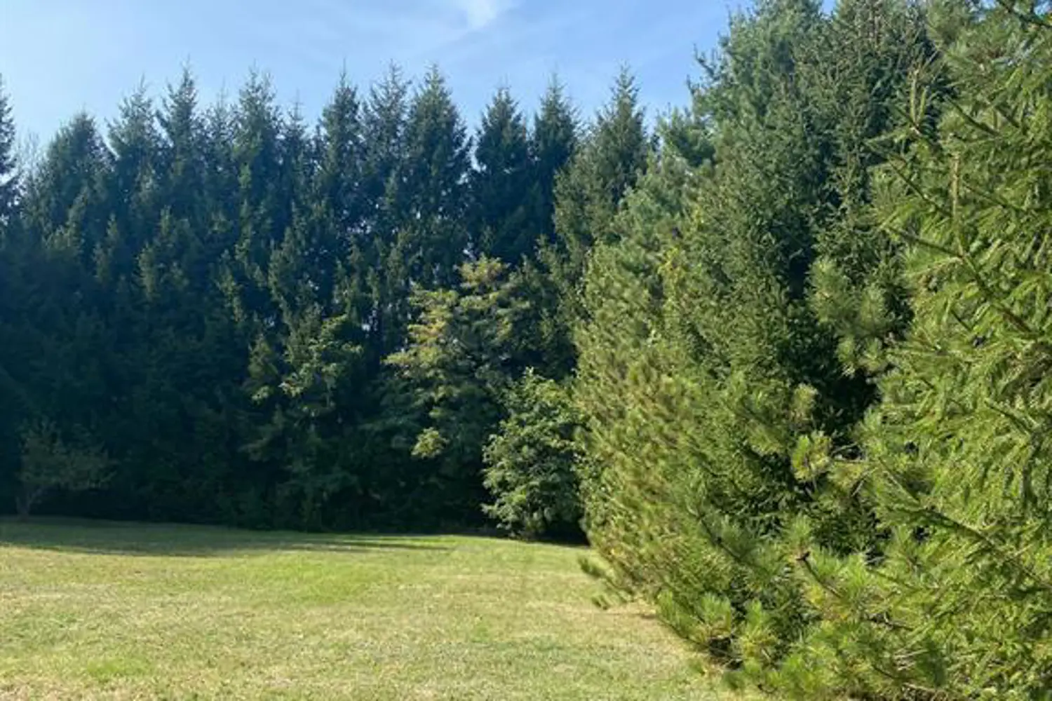 Additional image 15 of 143 Taft Road