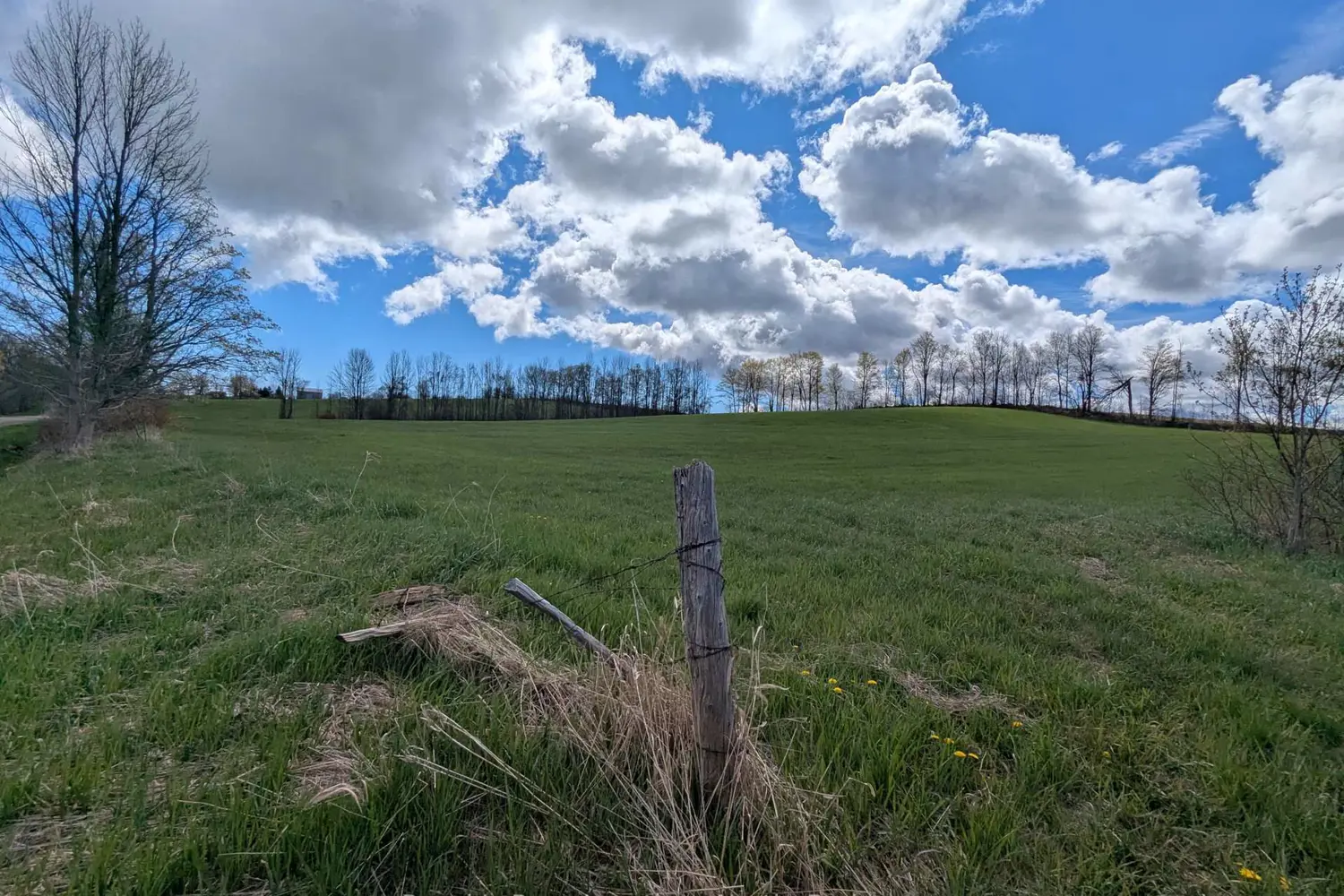Additional image 13 of 125552 13 Side Road