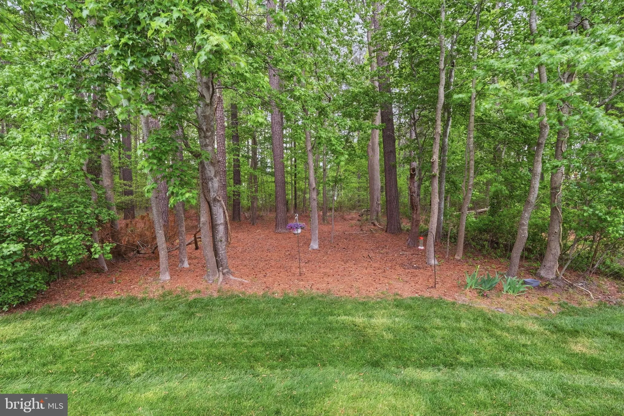 Additional image 31 of 36550 Putter Lane, Frankford, DE 19945