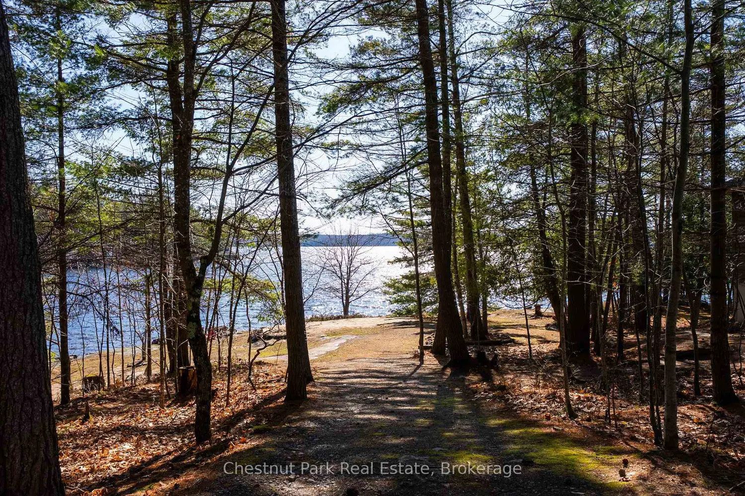 Additional image 3 of 1226 Rosseau Lake Road 3 Road