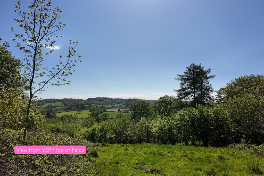 Additional image 82 of Land for saleHaulwen Lodge, Ffairfach, Llandeilo SA19