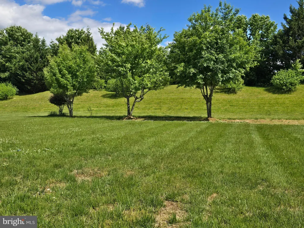 Additional image 82 of 173 Heartleaf Lane, Magnolia, DE 19962