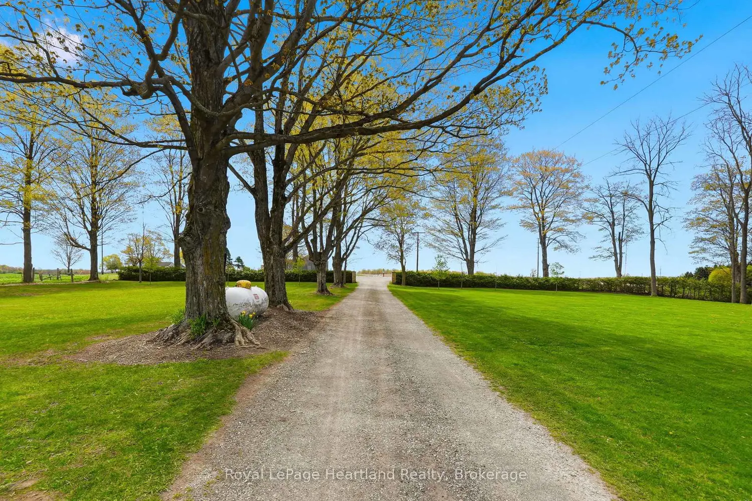 42148 Salem Road photo 4