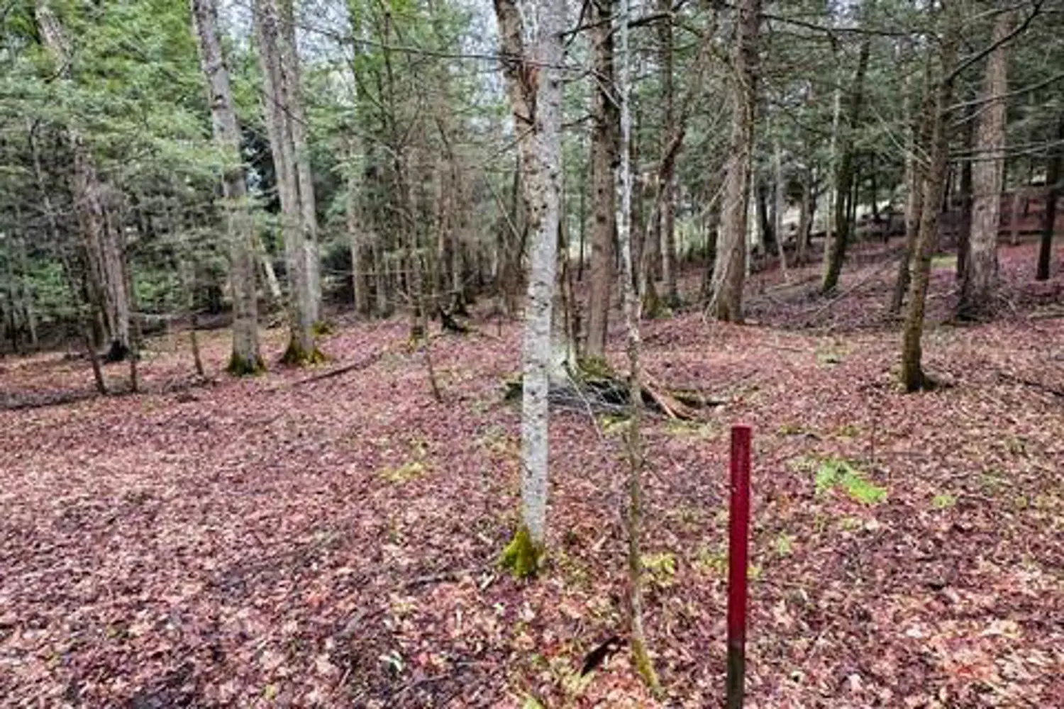 Additional image 18 of 1297 Hunter Creek Road