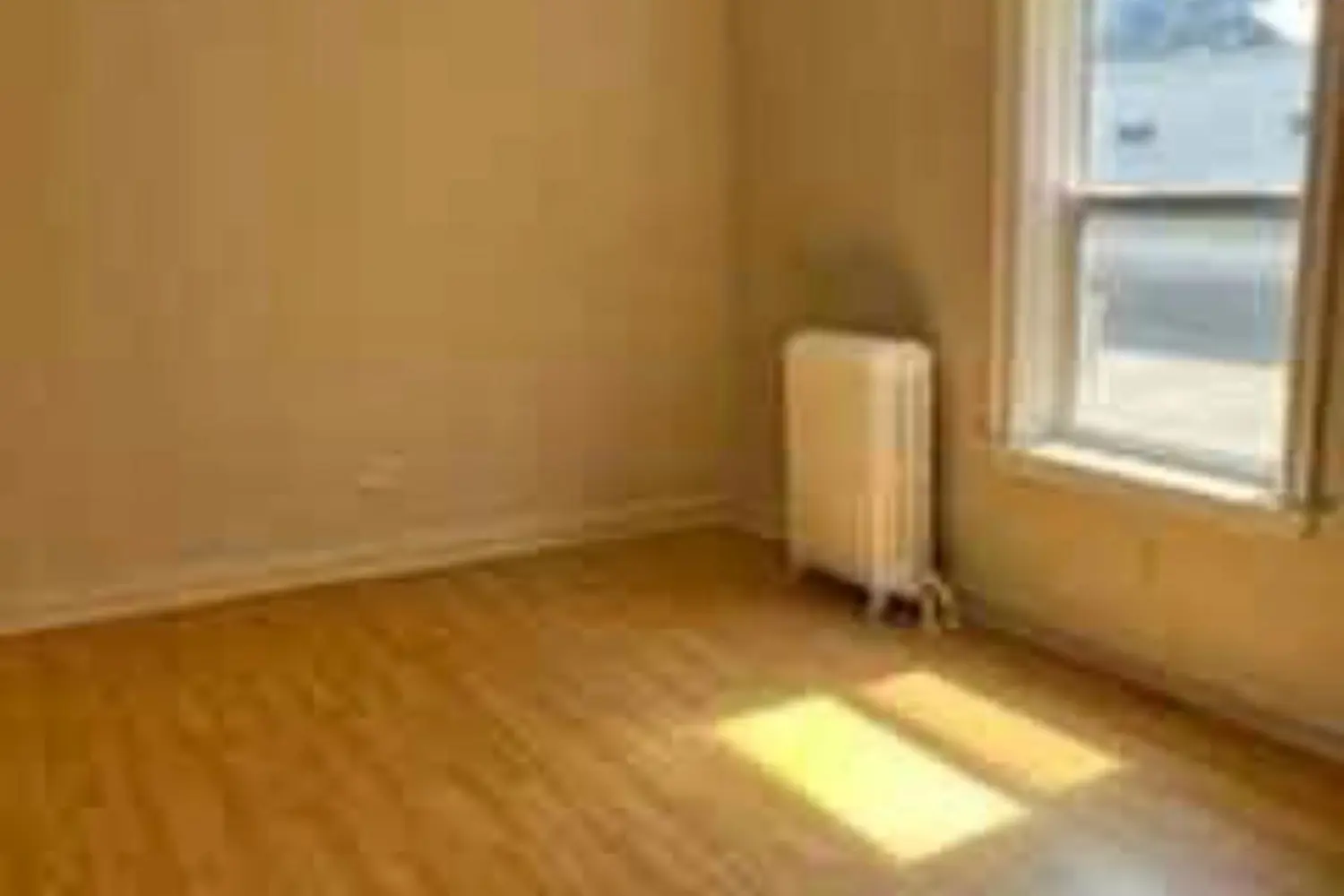 Additional image 18 of 340 Mcintyre Street