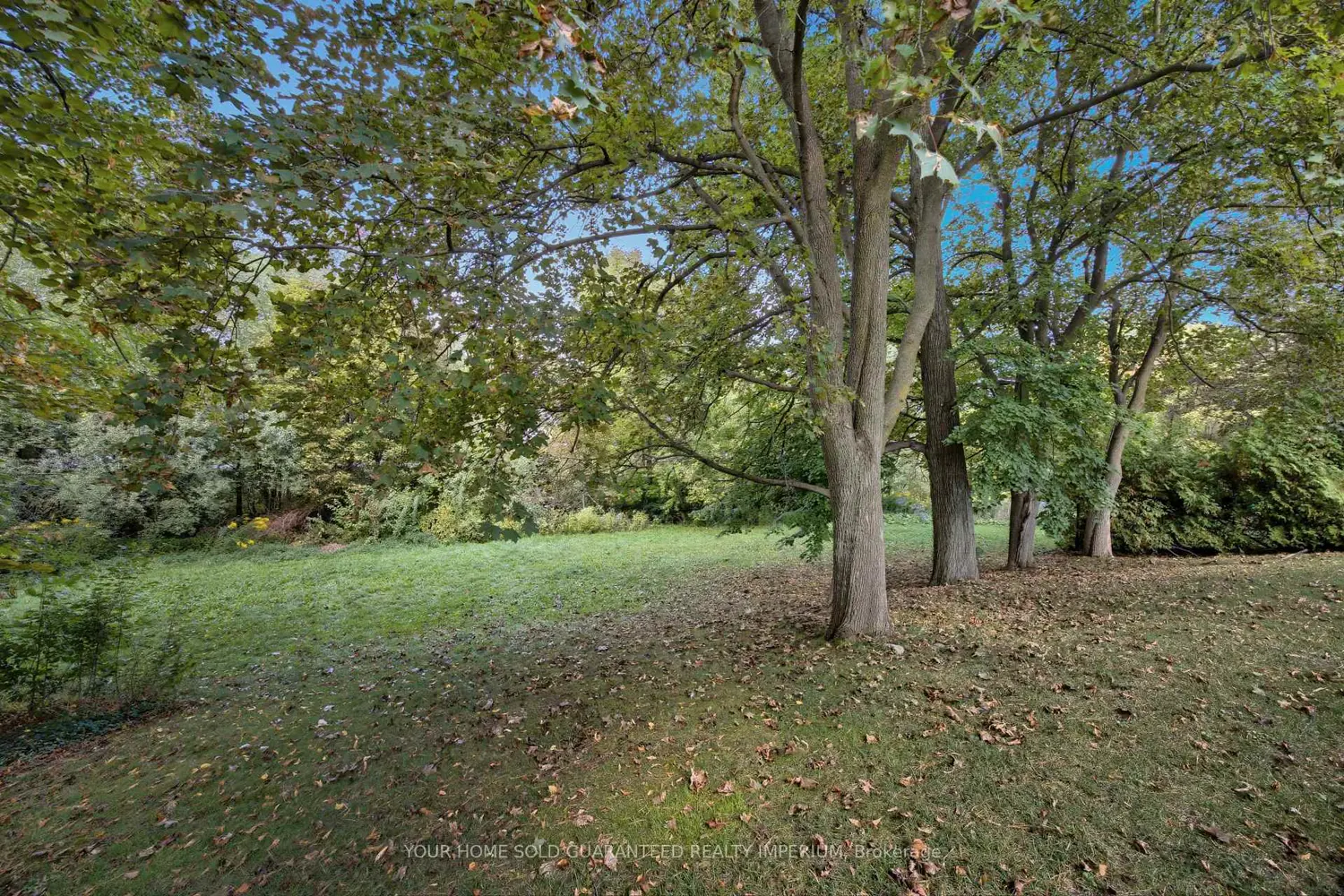 Additional image 15 of 48 Royal Road