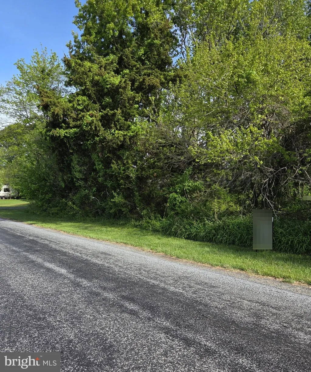 Pickering Beach Road, Dover, DE 19901 photo 3