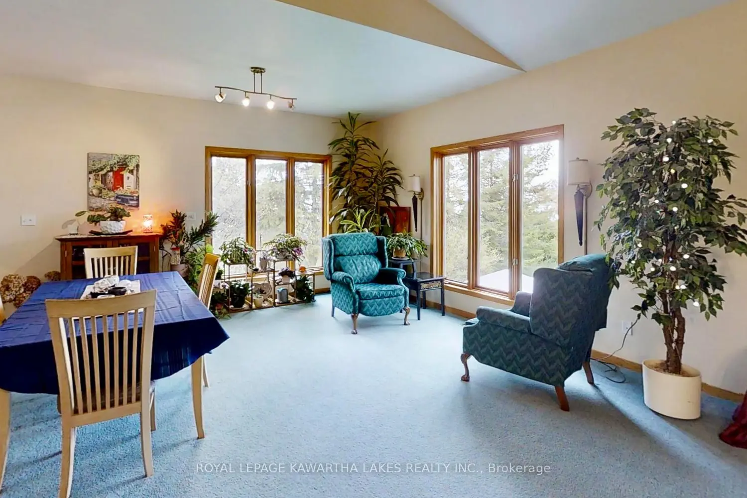 21 Emerald Street photo 5
