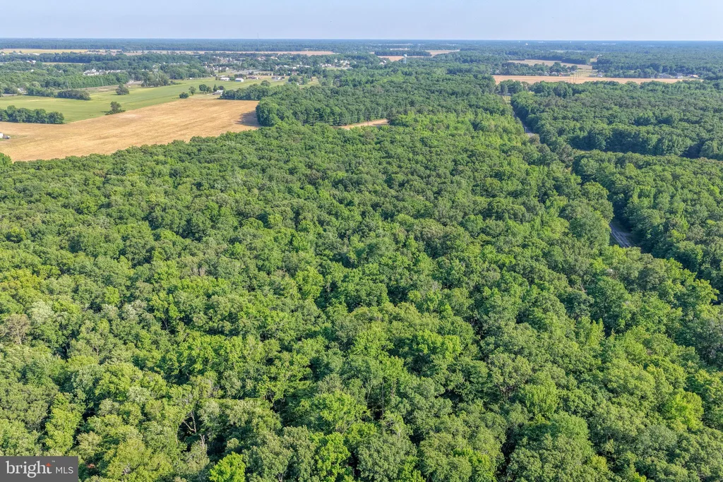 Additional image 11 of Tomahawk Lane, Felton, DE 19943