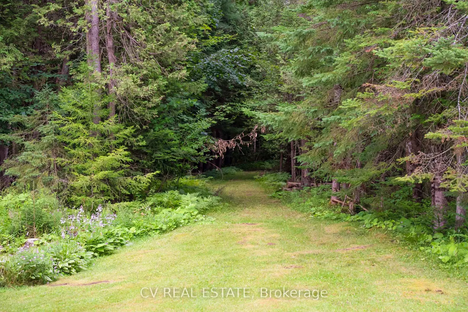 Additional image 15 of 2090 County 121 Road