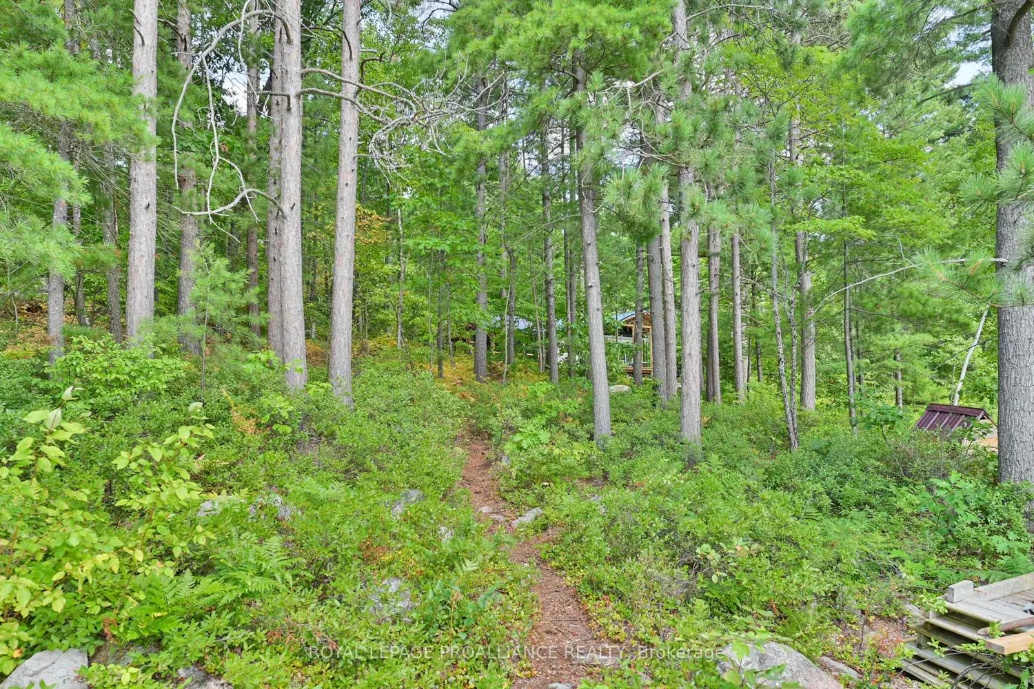 Additional image 9 of 1780 Mazinaw Lake